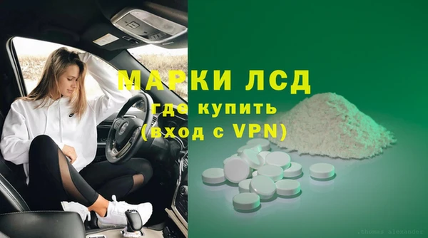 spice Богданович