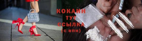 МДПВ Бронницы