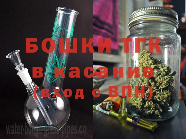 spice Богданович