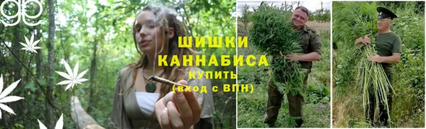 гидра Бугульма