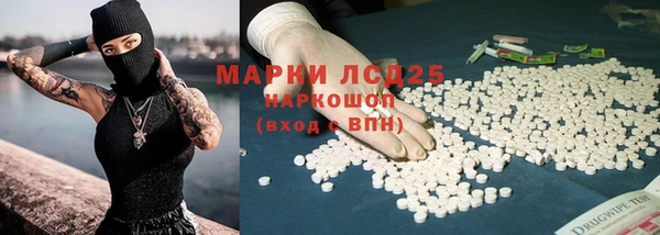 spice Богданович