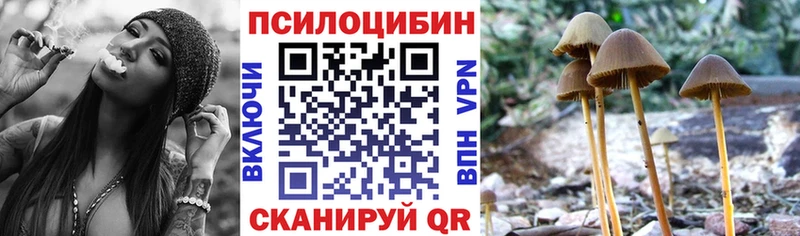как найти закладки  Новоузенск  OMG рабочий сайт  Псилоцибиновые грибы GOLDEN TEACHER 